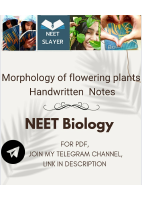 morphology of flowering plants.pdf
